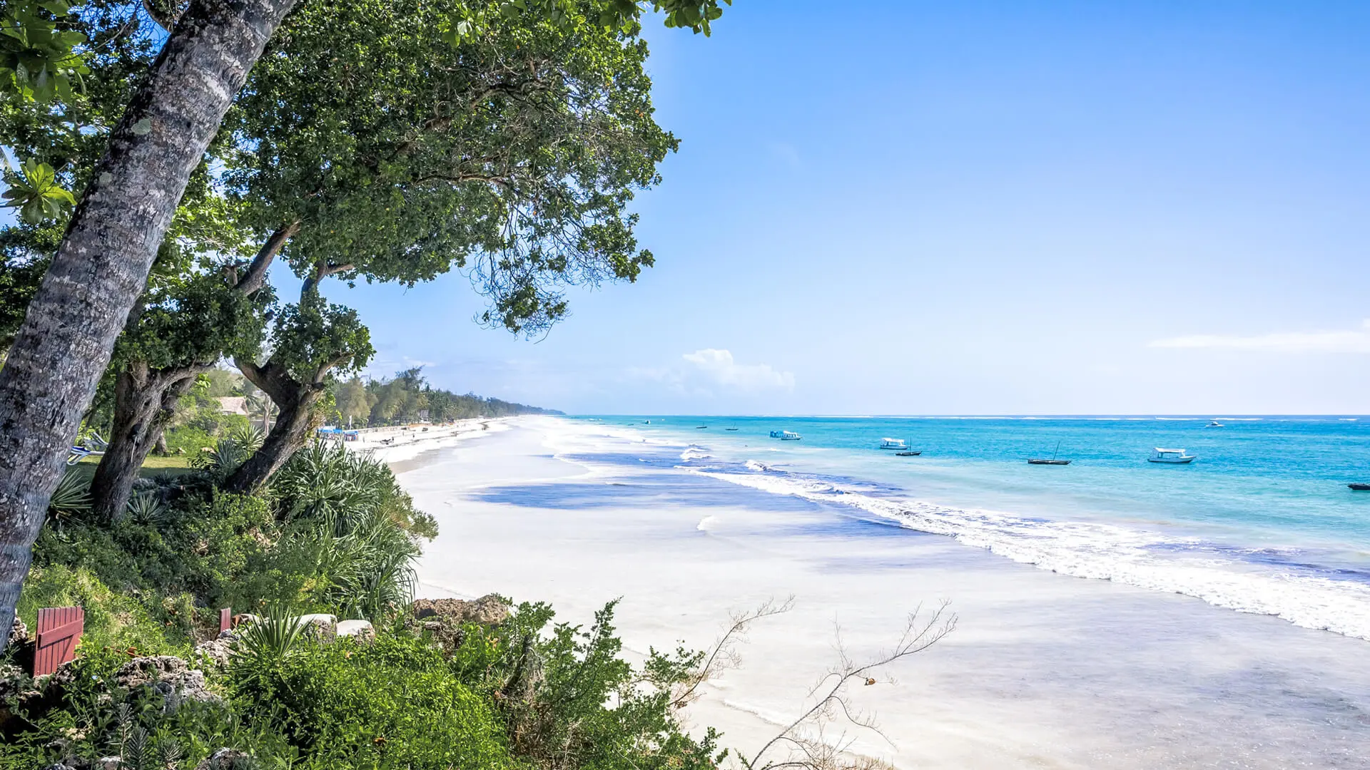 Where to Go for a Kenya Beach Holiday | Asilia Africa