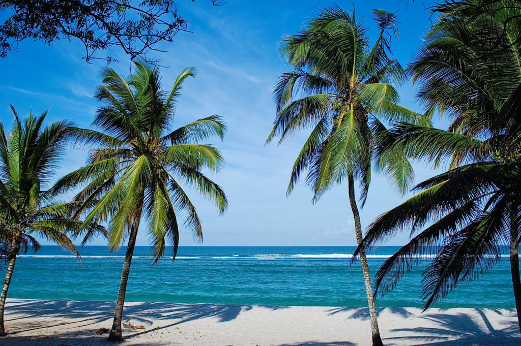 Kenyan Coast | Best Beaches in Kenyan Coast | Best Areas Kenyan Coast