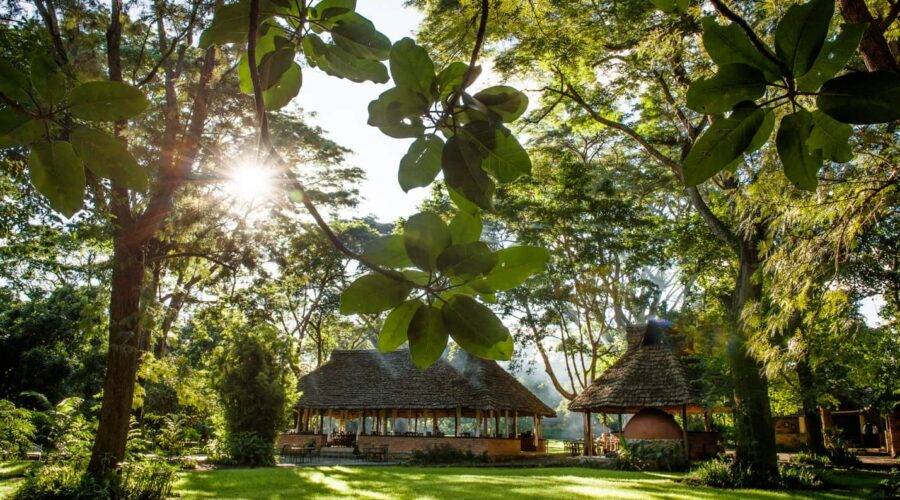 Rivertrees Lodge | Arusha | Tanzania