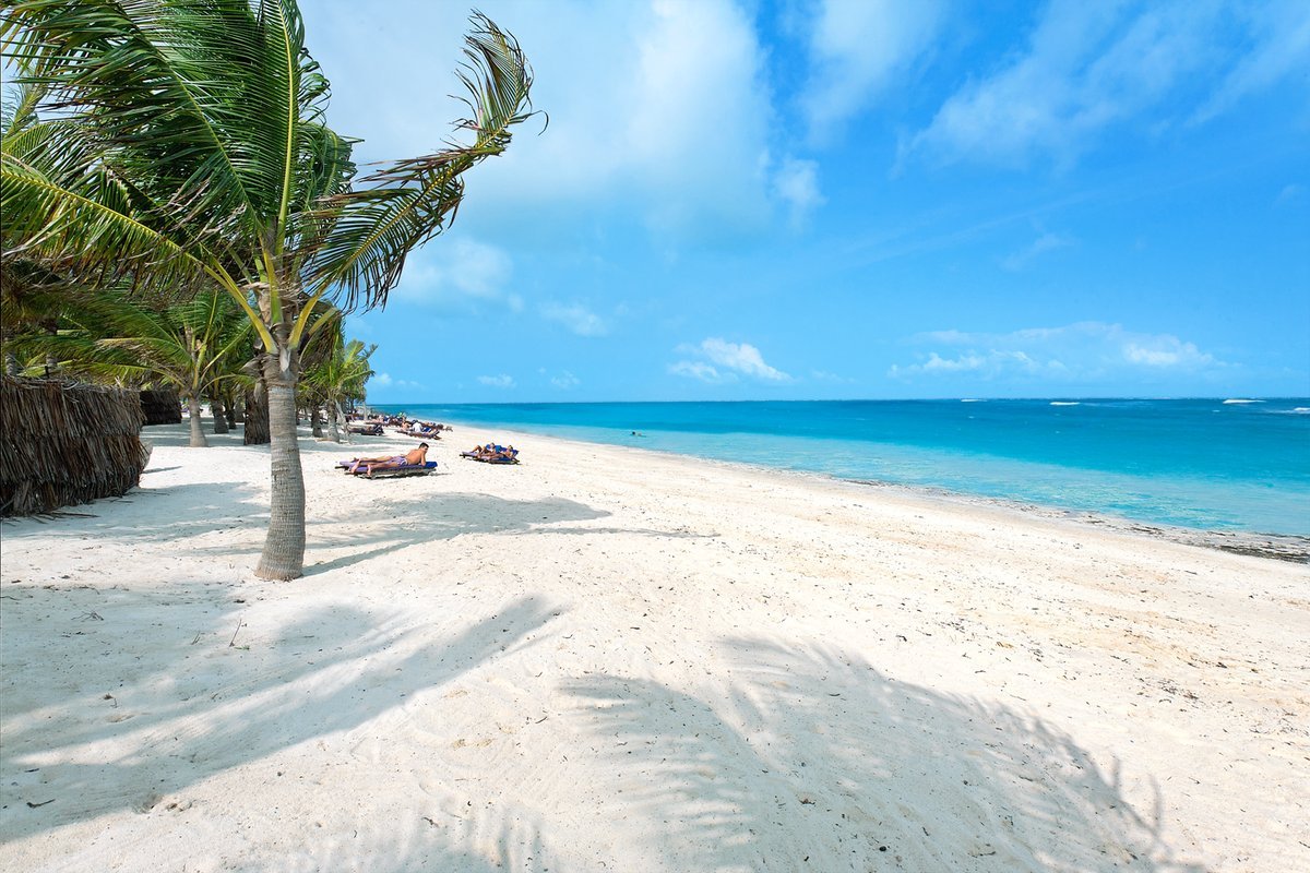 Watamu: A Touch of Gold – Safari254