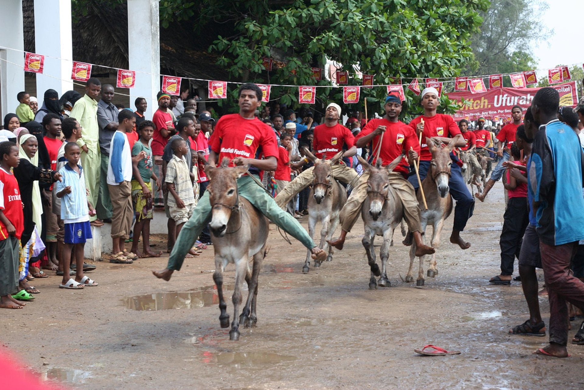 Lamu Cultural Festival 2024 in Kenya - Rove.me
