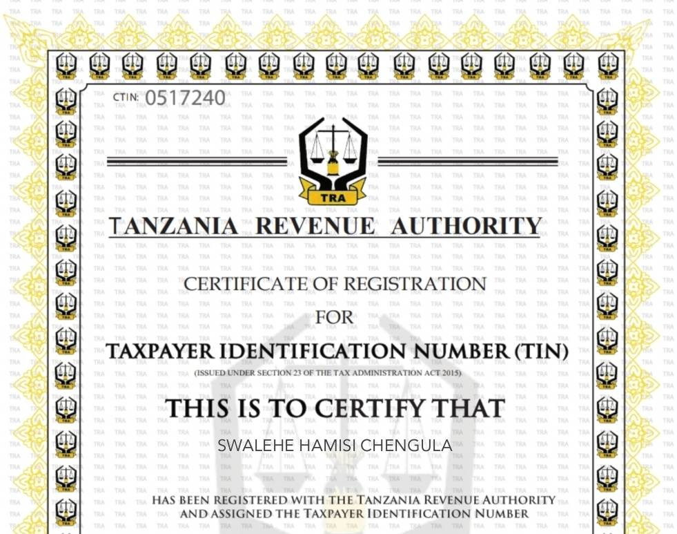 Jinsi ya Kupata TIN Namba Online (2025) - Zoom Tanzania