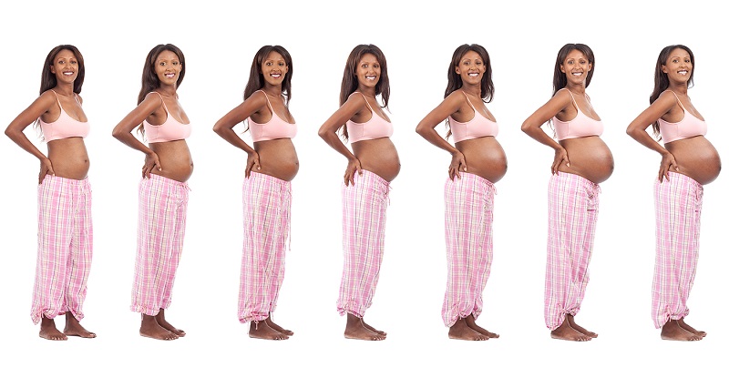 Pregnant Belly Stages: Shapes, Sizes & More | SneakPeek®