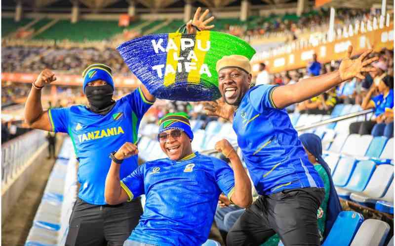Tanzanian fans light up Stadium into a festival of football and creativity  - TNX Africa